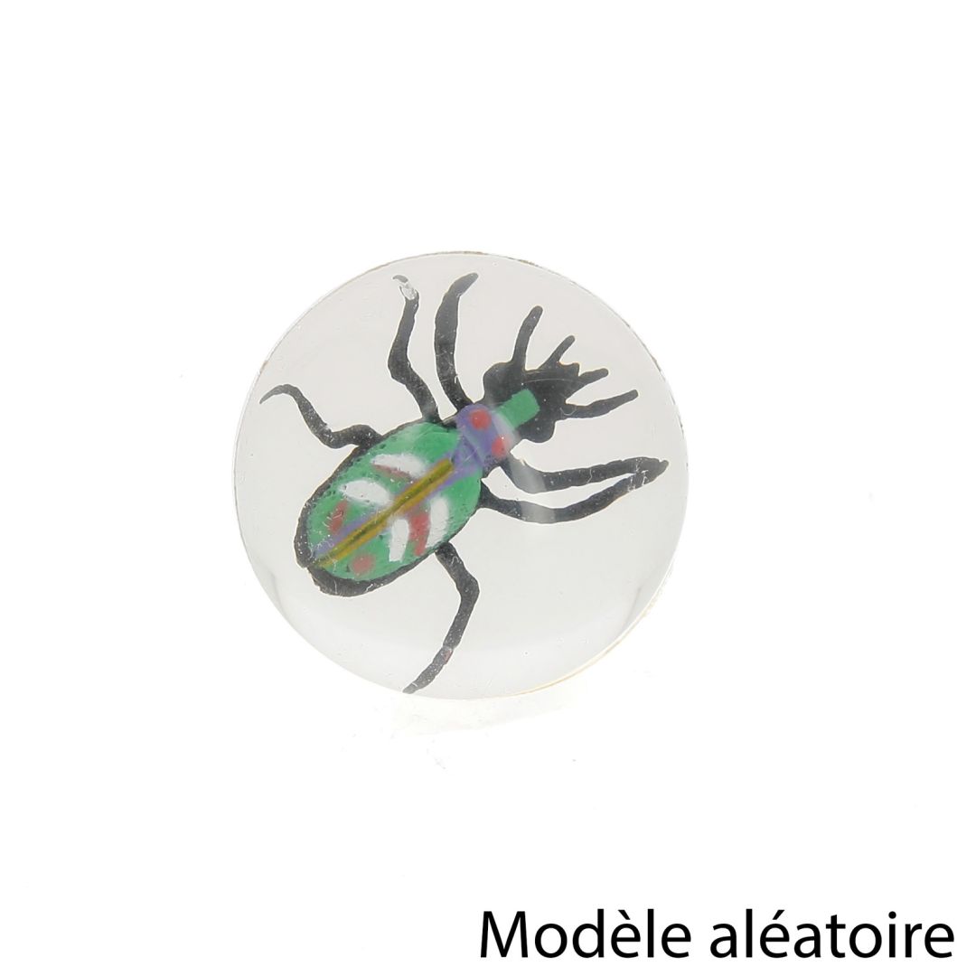 Balle Rebondissante Insecte Nature D Couvertes Suisse