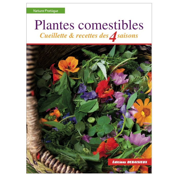 Plantes comestibles cueillette et recett