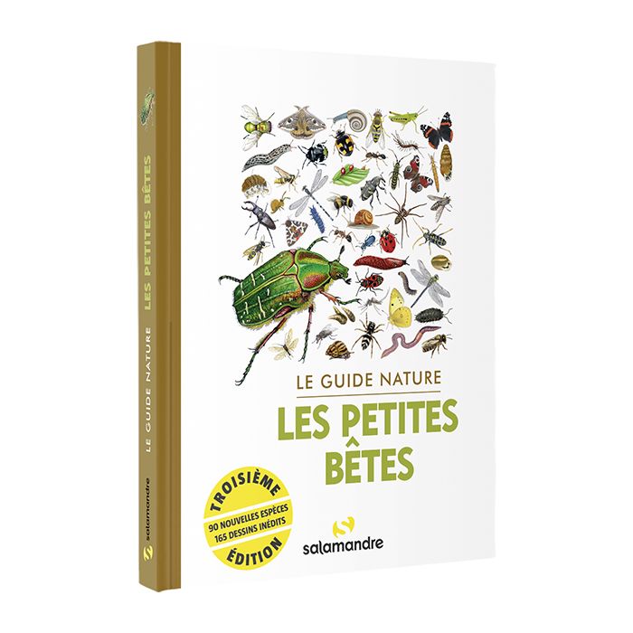 Kit De Culture D'herbe À Chat - Livraison Gratuite Pour Les Nouveaux  Utilisateurs - Temu France