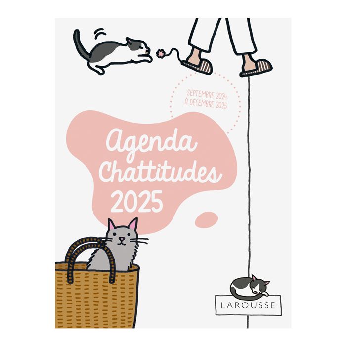 AGENDA CHATTITUDE 2025