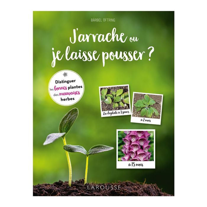 J ARRACHE OU JE LAISSE POUSSER <10225860