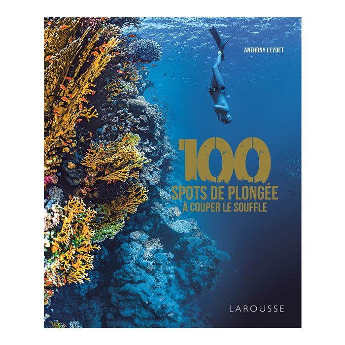 100 SPOTS DE PLONGEE A COUPER SOUFFLE