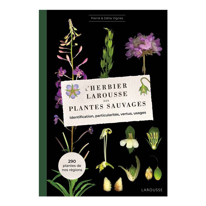 L HERBIER DES PLANTES SAUVAGES