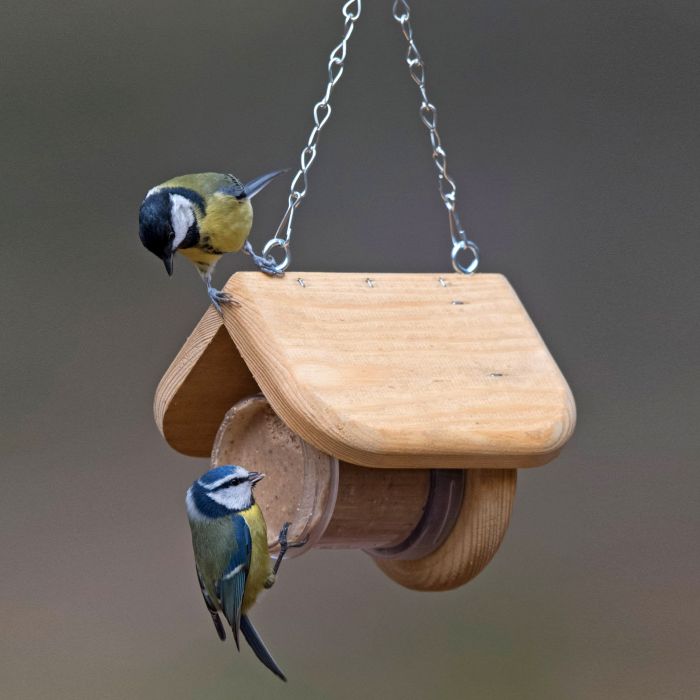 Maison pour beurre de cacahuète pour oiseaux