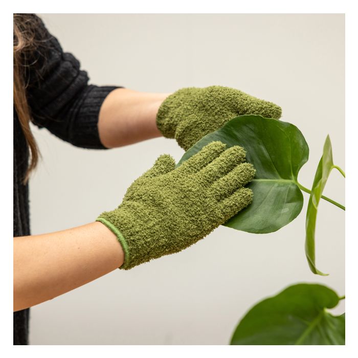 GANTS NETTOYAGE PLANTES