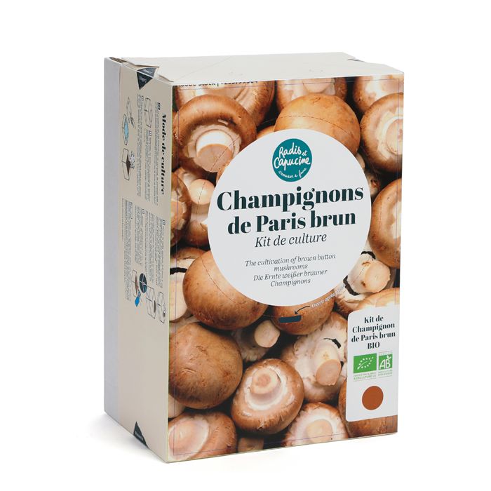 CHAMPIGNONS BRUNS A FAIRE POUSSER 2024