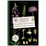 L HERBIER DES PLANTES SAUVAGES