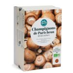 CHAMPIGNONS BRUNS A FAIRE POUSSER 2024