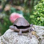 CACHE CLES TORTUE